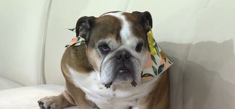 Peaches during her March 6, 2026, TODAY appearance.