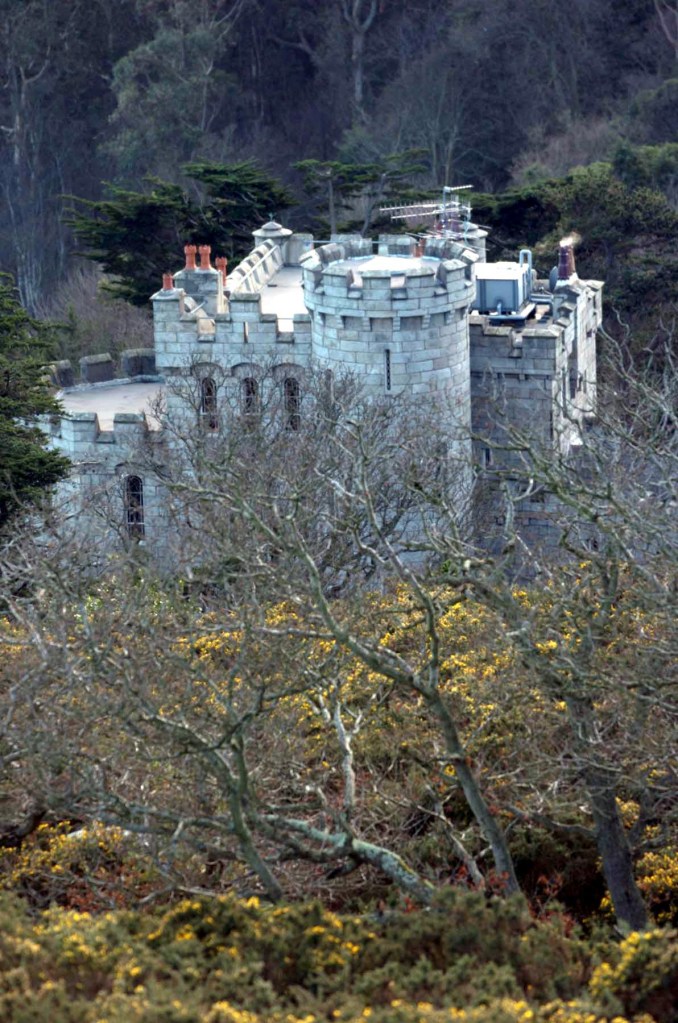 Dalkey Castle, owned by Irish pop star Enya, seen behind trees and yellow flowers.