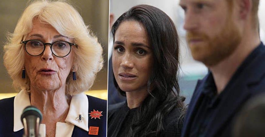 Prince Harry responds after book claims Queen Camilla said he was “brainwashed” by Meghan Markle