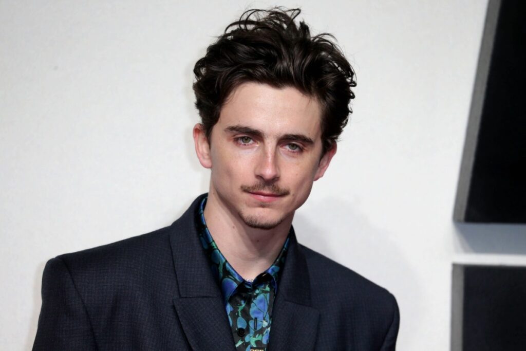 Timothée Chalamet's chance at 2026 Oscars jeopardy after comments on dance and opera