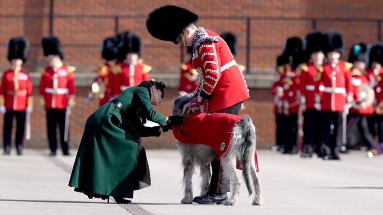 Kate greets an Irish wolf hound named Turlough Mor, affectionately known as Seamus. Pic: PA