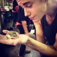 Justin Bieber And His Disappearing Pets