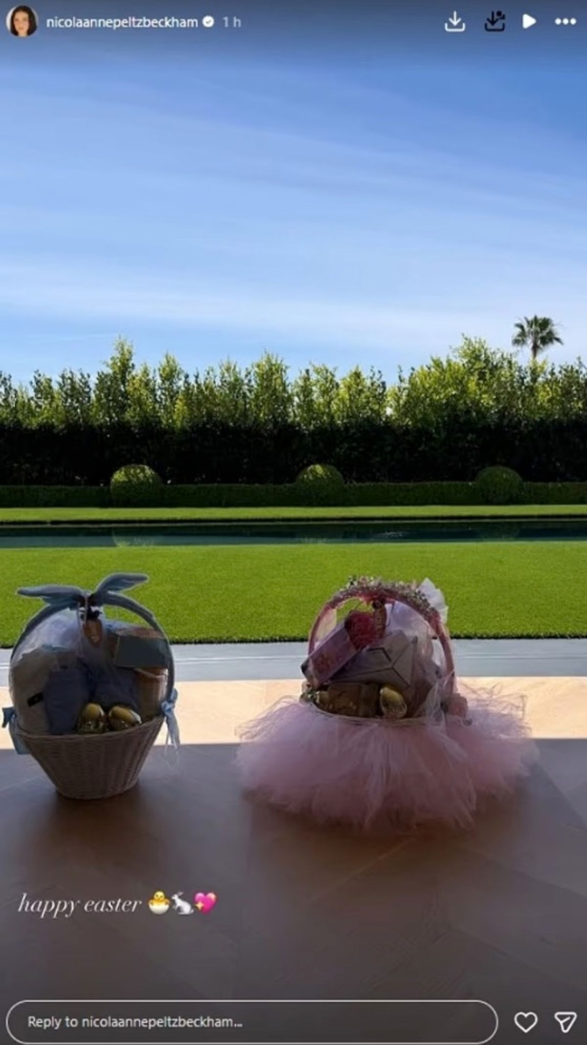 Nicola posted four hours later