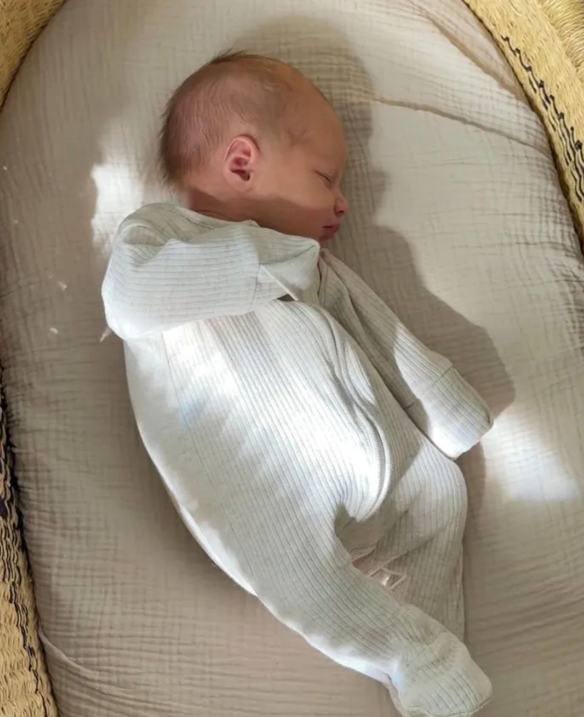 Baby Rocky arrived last week