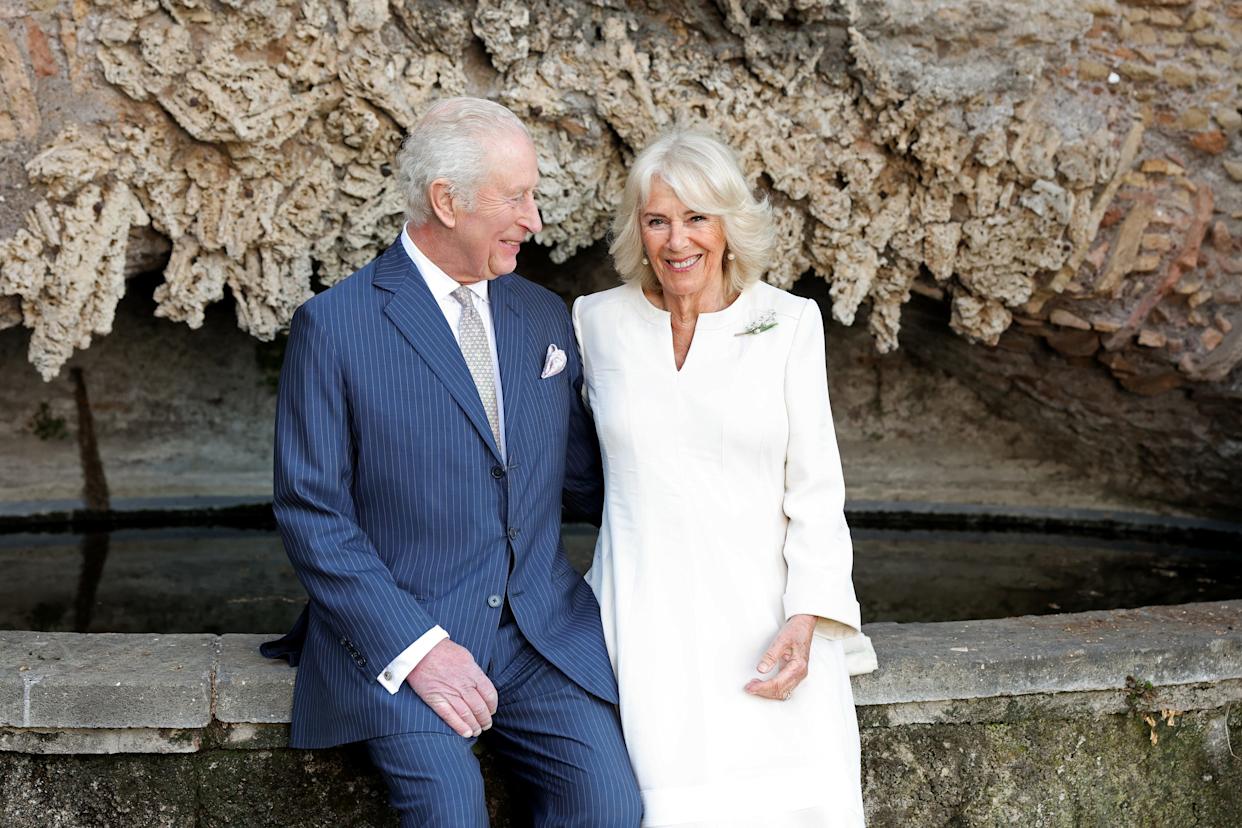 king charles iii and queen camilla 20th wedding anniversary portrait