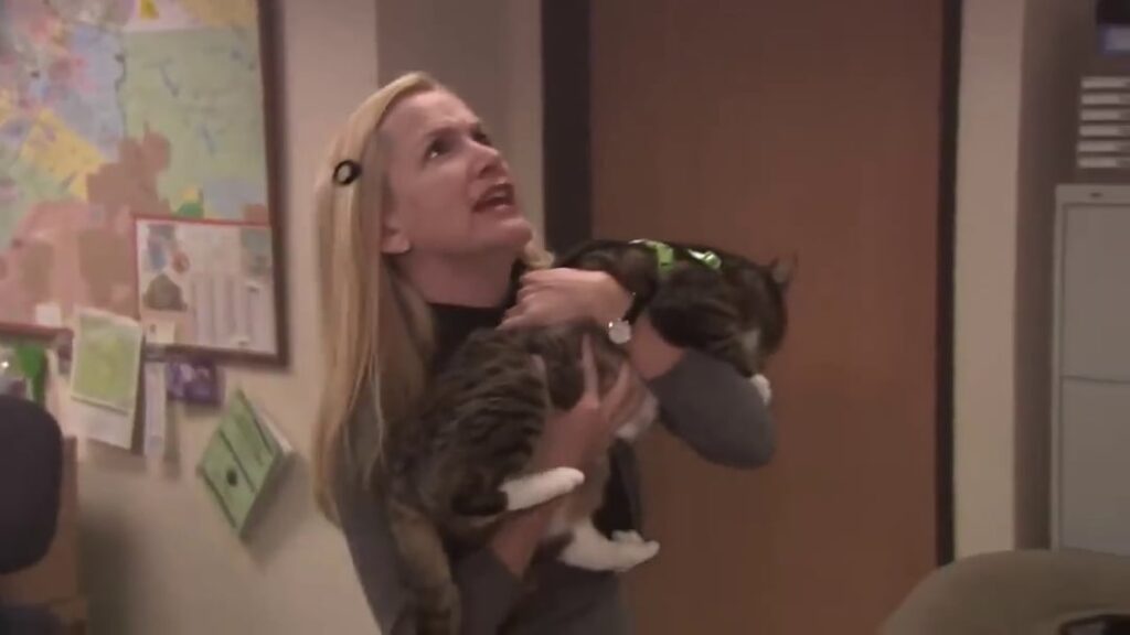 What's your favourite sitcom scene or storyline featuring a feline?