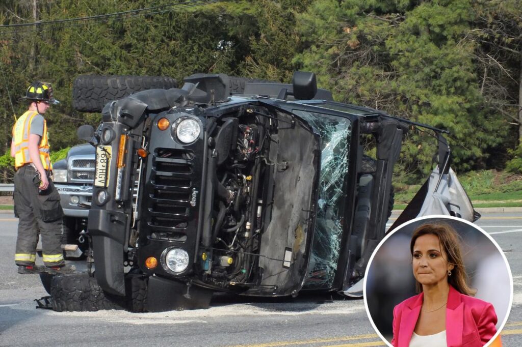 Dianna Russini mounts daring rescue of elderly man, dog