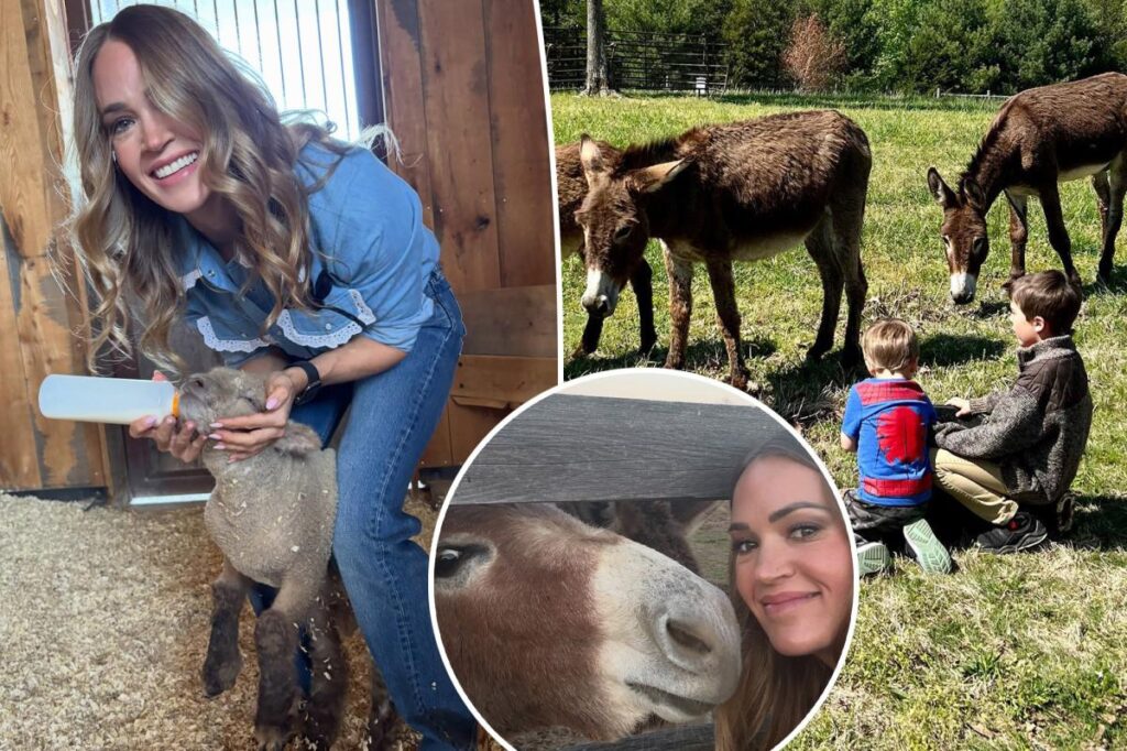 Carrie Underwood reveals why Tennessee home life can be 'frustrating' after fleeing Hollywood spotlight