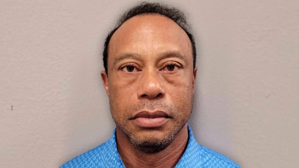 Tiger Woods DUI Arrest: Painkillers in His Pocket and More Crash-Site Details Revealed