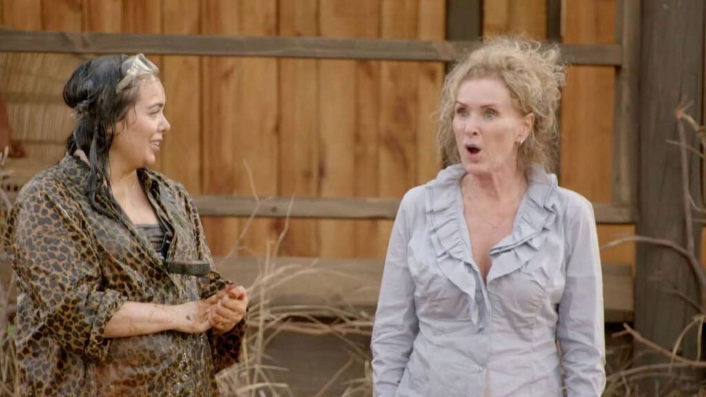 I’m A Celebrity row explodes as David Haye and Beverley Callard collide on set Daily Star
