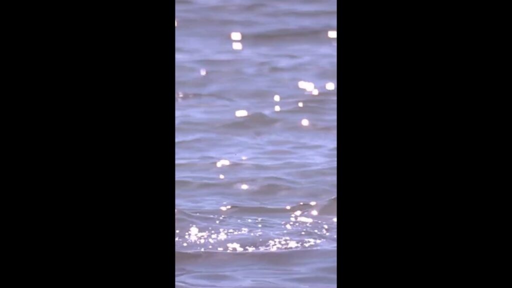 DIE ANOTHER DAY | Jinx Emerges From the Sea