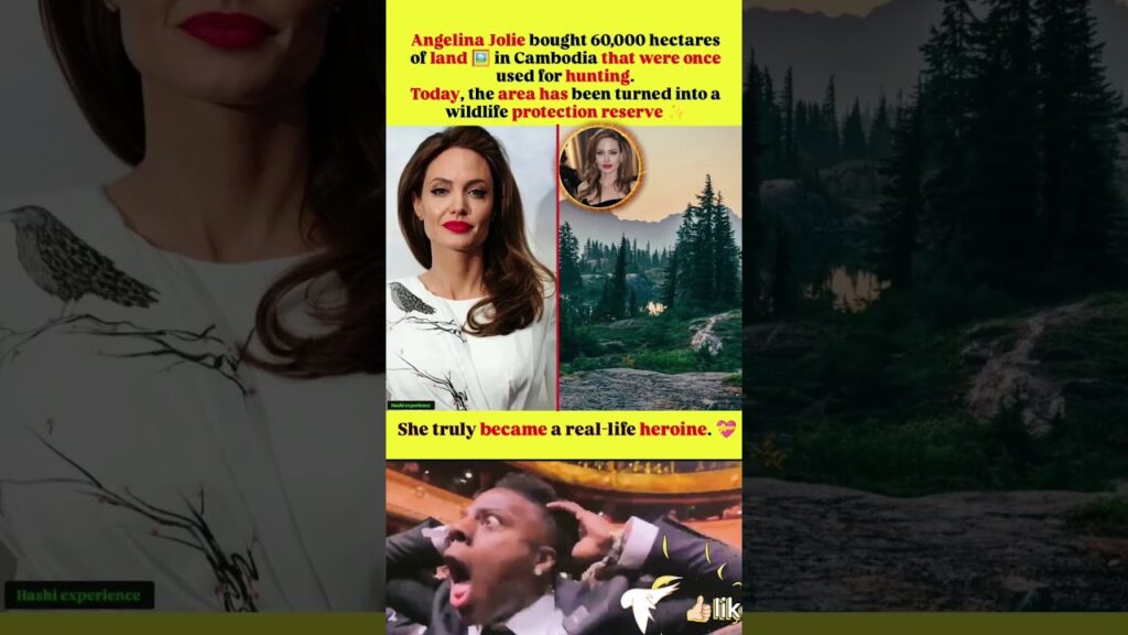 💝Saving Wildlife: Angelina Jolie 🐅👌🏻#shortsfeed #ytshorts #angelina