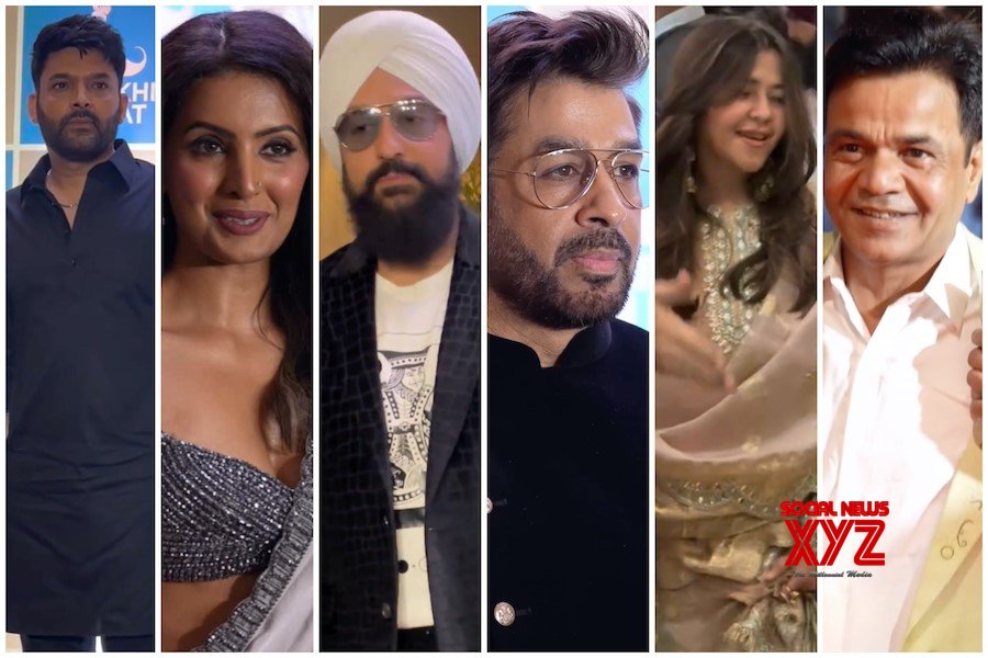 Celebrities Grace Punjabi Icon Awards Celebrating Talent And Culture