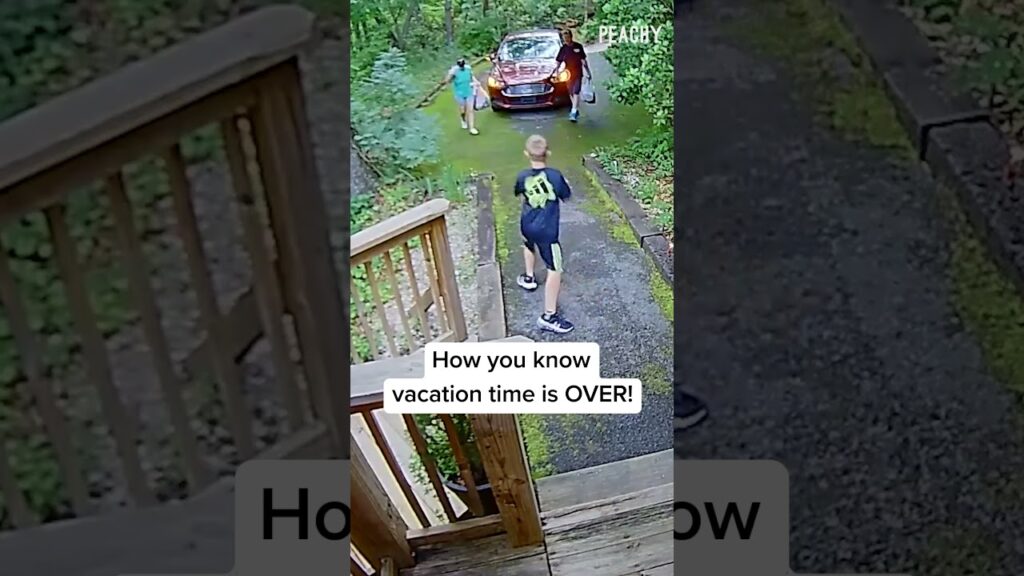 How it feels to go back to work after vacation! 👀 #fails #CCTV #bears  #scare #shorts