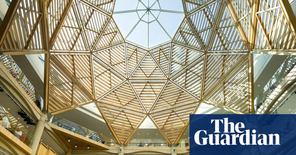 Oxford’s new £185m humanities hub is polished, refined … and funded by a Trump ally | Architecture