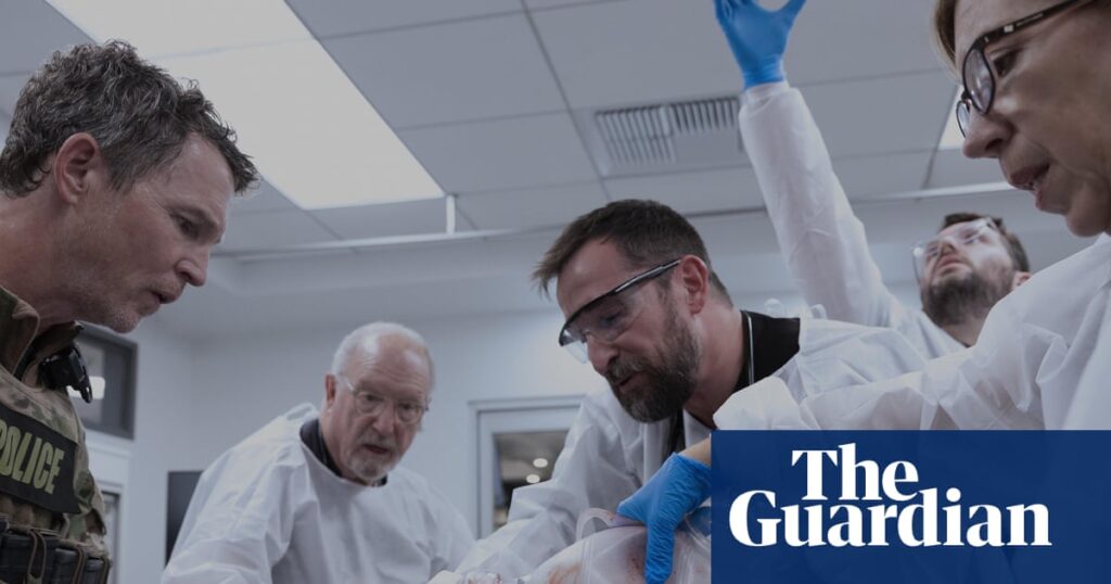 Sexy vibes to vampire doctors! All the wildest fan theories about The Pitt | Television