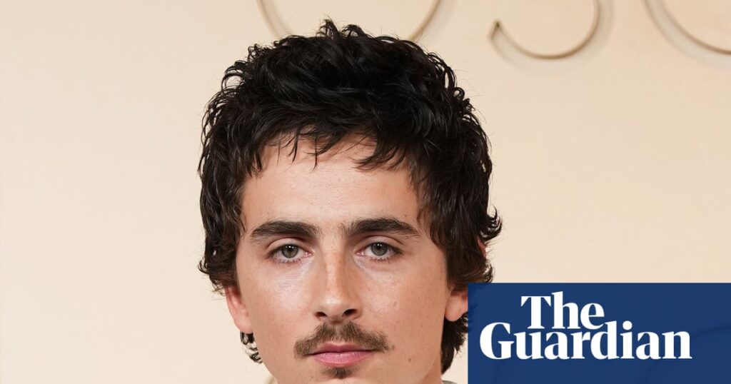 ‘Cheers, Timmy!’ Royal Ballet and Opera head thanks Chalamet for ‘fantastic’ boost to sales | Timothée Chalamet