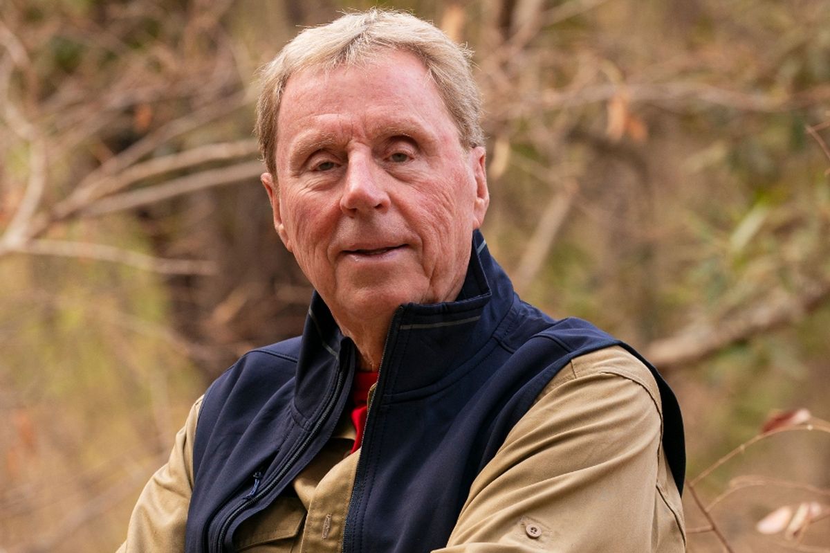 I'm A Celebrity fans are wondering what has happened to Harry Redknapp and Jimmy Bullard 