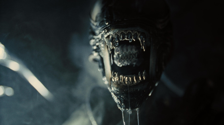A close up of the Xenomorph with its mouth open, drool spilling out of it in Alien: Romulus