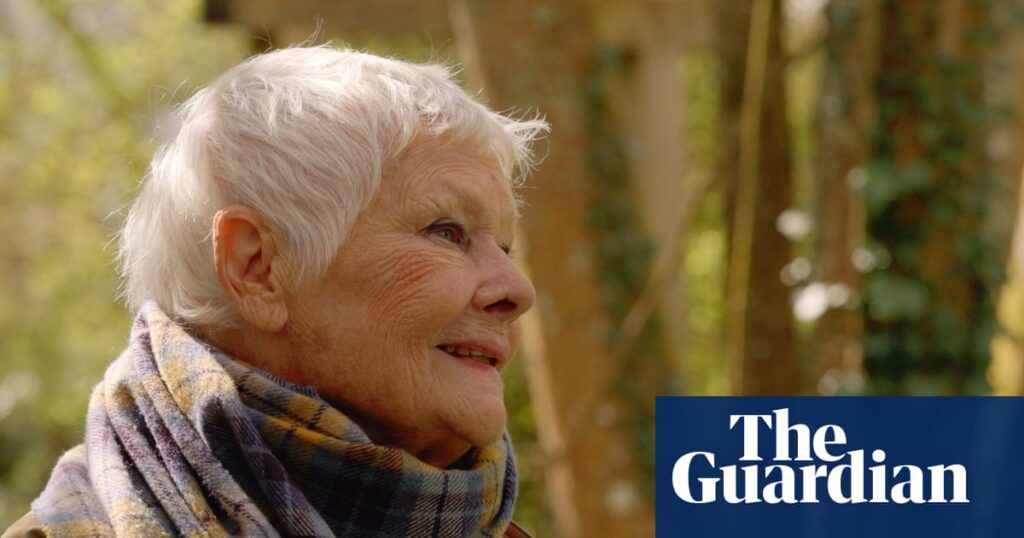 A statue of Queen Victoria, memorial trees and a swimming pool: Judi Dench’s garden – in eight poignant items | Judi Dench