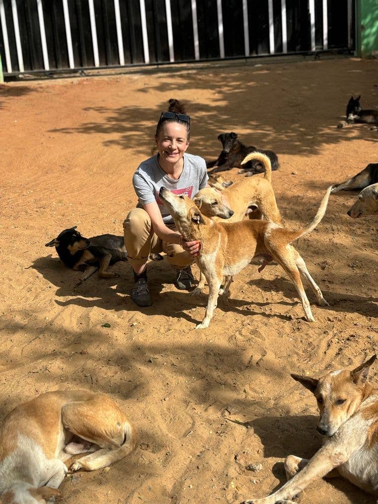 Jo fell in love with the street dogs she met