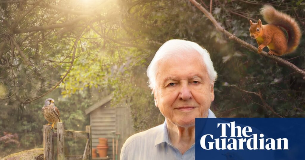 TV tonight: David Attenborough’s sparkling new series before he turns 100 | Television & radio TV tonight: David Attenborough’s sparkling new series before he turns 100 | Television & radio