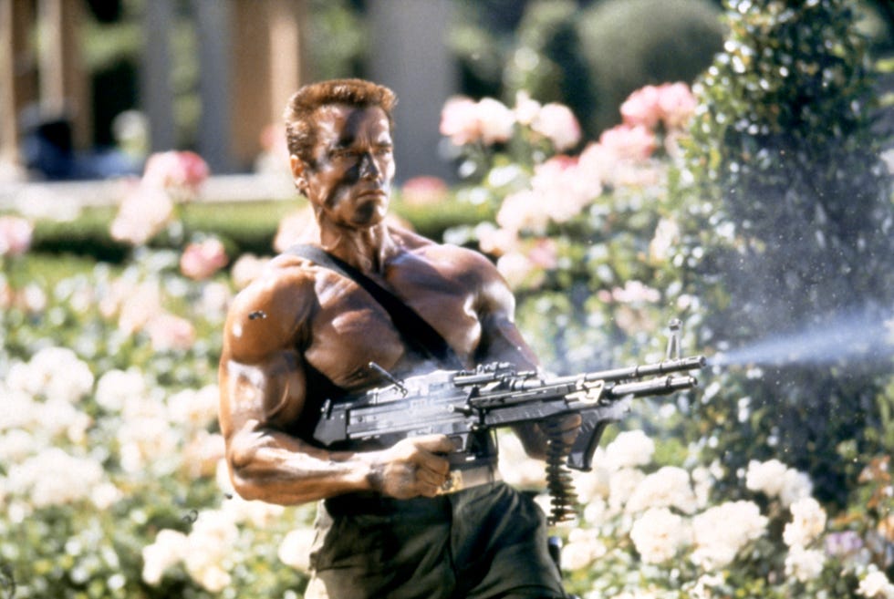arnold schwarzenegger, commando