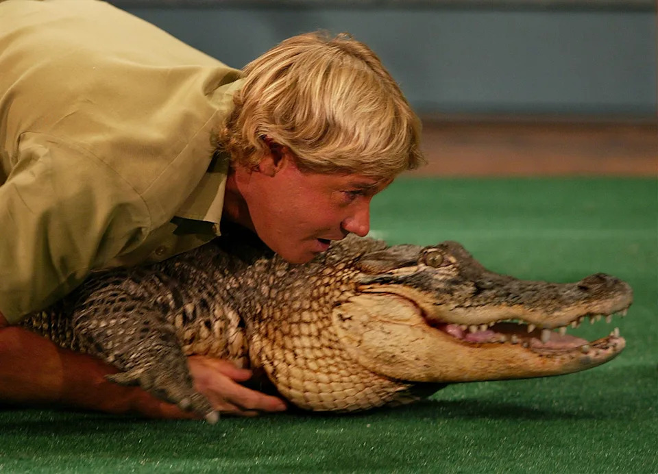 Steve Irwin interacting closely with a crocodile on a grassy surface, showcasing a fearless and adventurous moment