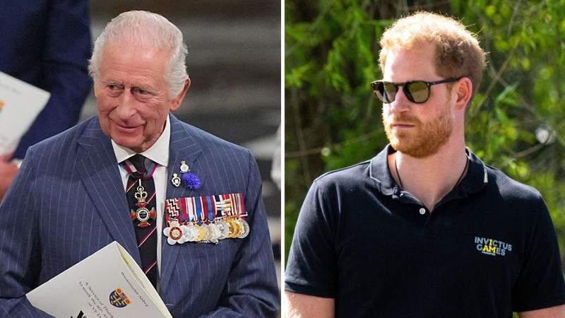 Prince Harry is reportedly 'devastated' that King Charles 'ghosted him.'MEGA