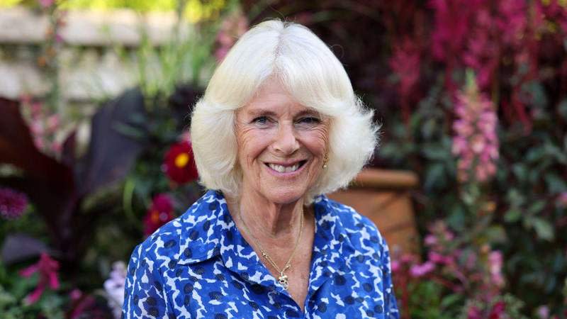 The Duke addressed his relationship with Camilla in his memoir.MEGA