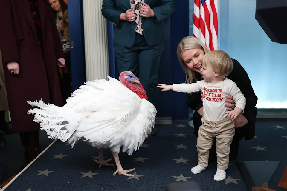 A child in a shirt reading "Grandma's Little Turkey" reaches toward a turkey, with an adult smiling nearby, in a press room setting