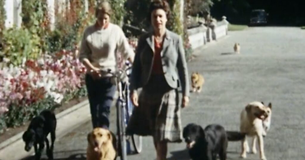 Moment that would 'haunt' Royal Family for years exposed in BBC documentary | TV & Radio | Showbiz & TV