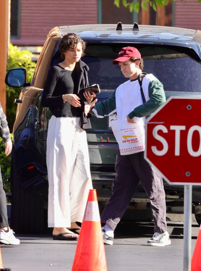 Zendaya and Tom Holland in Los Angeles, CA recently