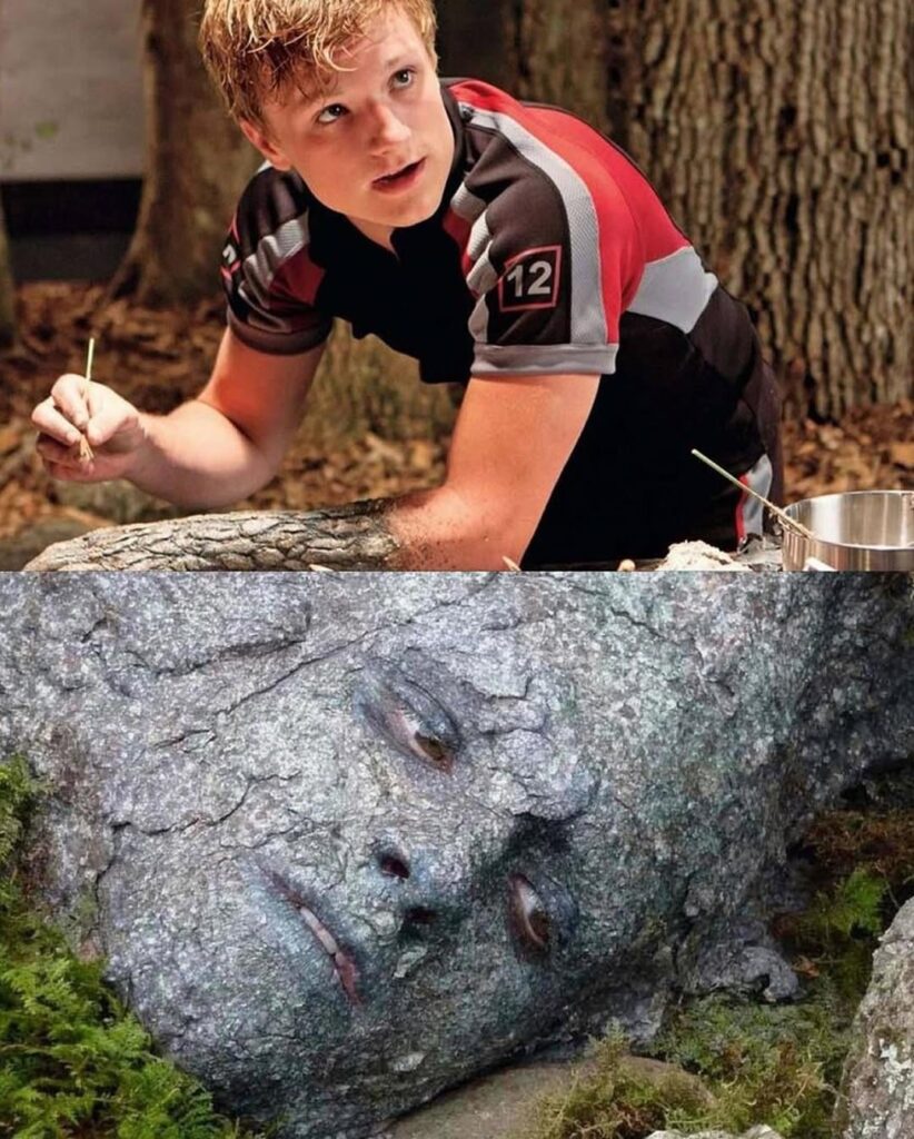 Turns out 'Hunger Games' star Josh Hutcherson is just as confused about the logistics of Peeta's rock camouflage as the rest of us