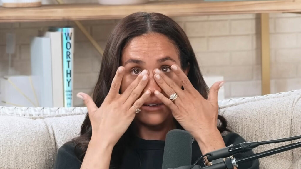 Meghan Markle’s Way To Deal With Criticism In Meetings Revealed By Report And Slammed By Public Bored Panda