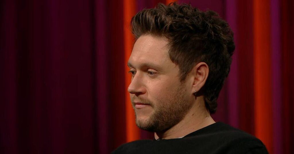 Niall Horan questions 'could I have done more' for Liam Payne before death