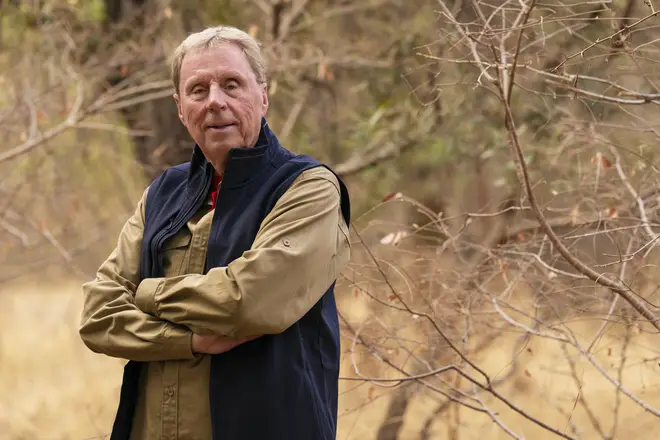 Harry Redknapp is reportedly being paid more than Jimmy Bullard for his second I'm A Celeb stint
