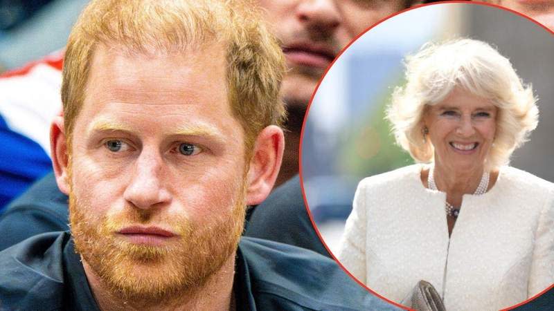Prince Harry renewed his war with Queen Camilla recently.MEGA