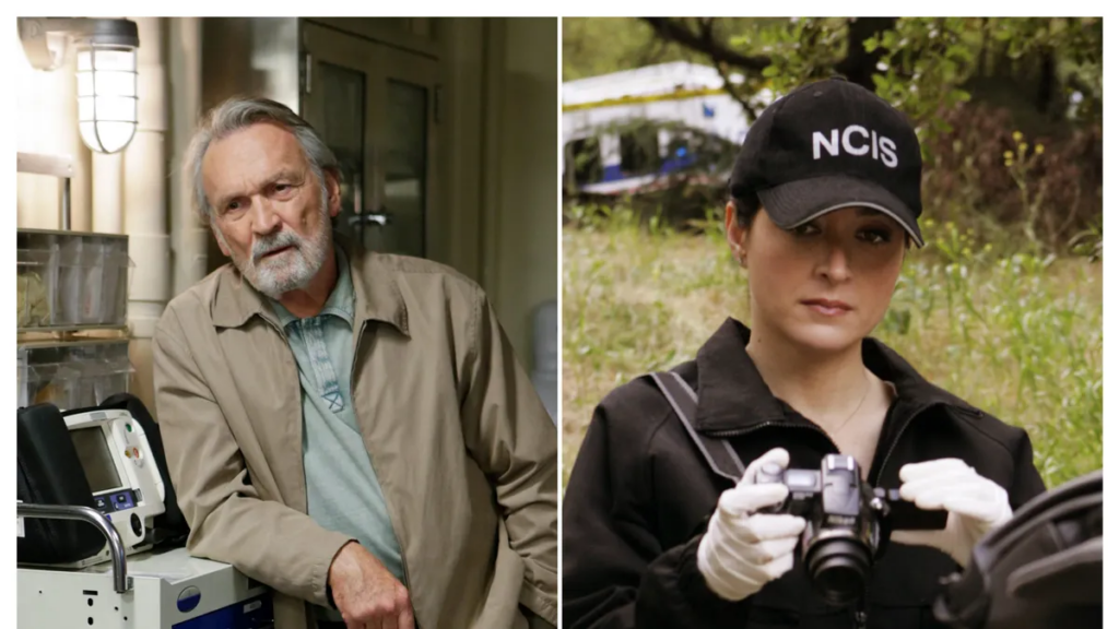 ‘NCIS’ deaths deal major heartbreak to TV fans. These six still shock 'NCIS' deaths deal major heartbreak to TV fans. These six still shock