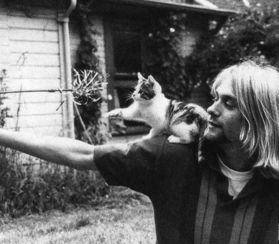 Kurt Cobain's love of cats💕