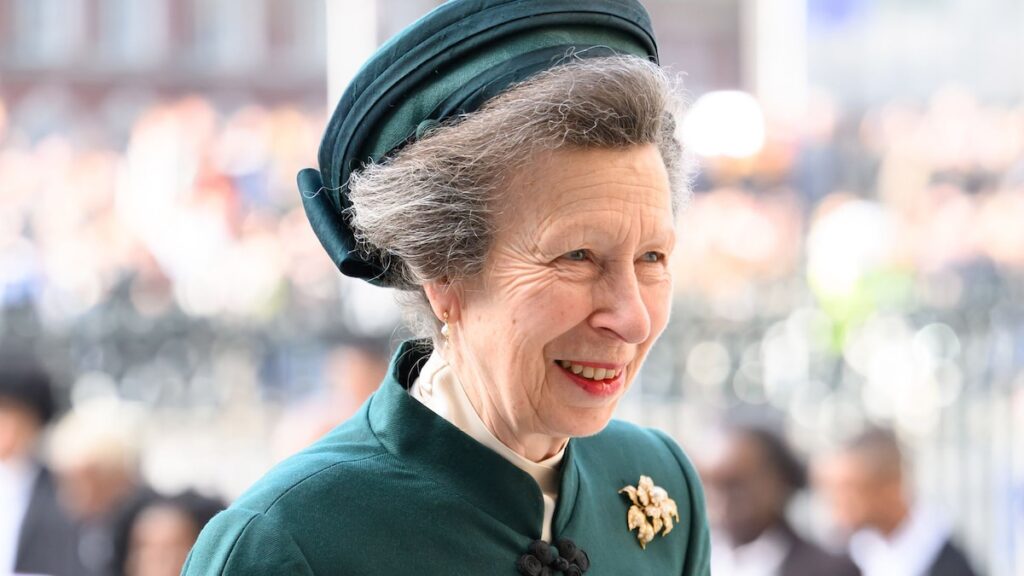 Princess Anne gets hands-on during Iron Cyclone training ahead of NATO deployment