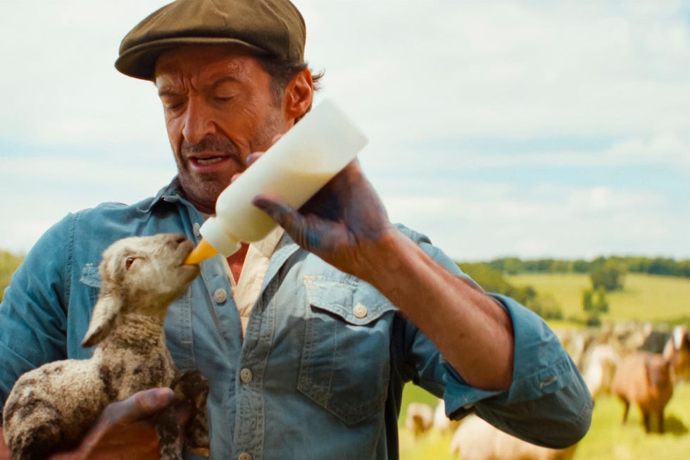 hugh jackman, the sheep detectives