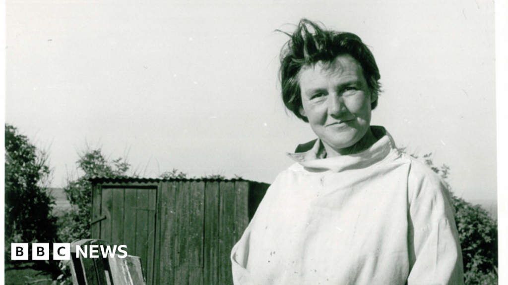 Muted, atmospheric landscape painting with a hazy grey sky and a glowing red-yellow sun near the top. Loose, expressive brushstrokes suggest a low horizon with rough grasses or scrub in the foreground and distant land fading into mist.