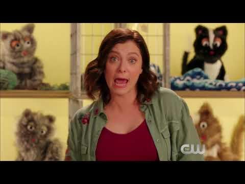 "Fuckton of Cats" from Crazy Ex Girlfriend