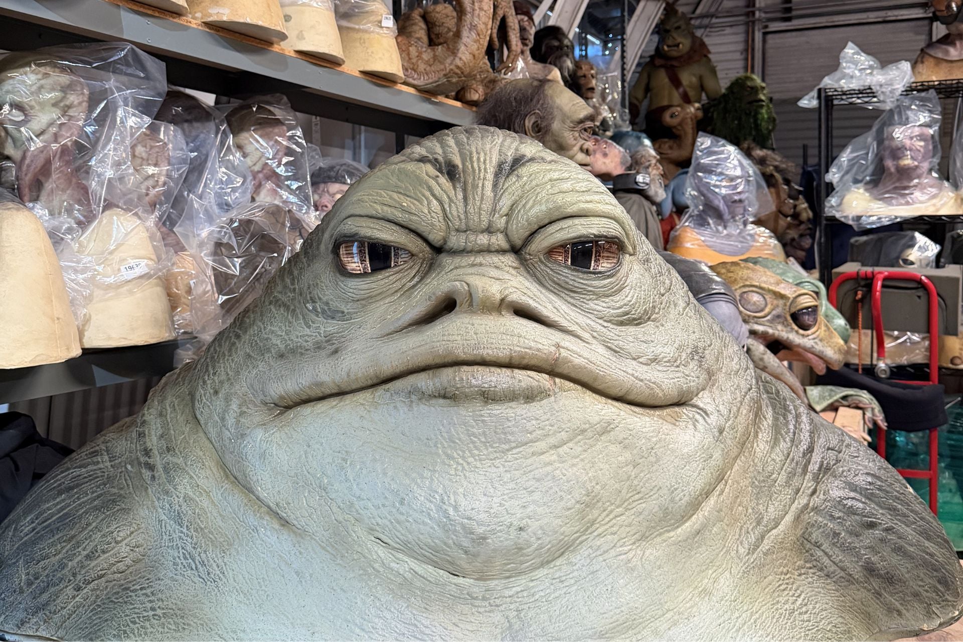 Adult Rotta Maquette