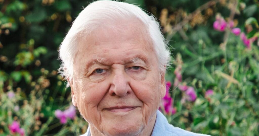 Sir David Attenborough still ‘appalled’ he shot animal 70 years ago