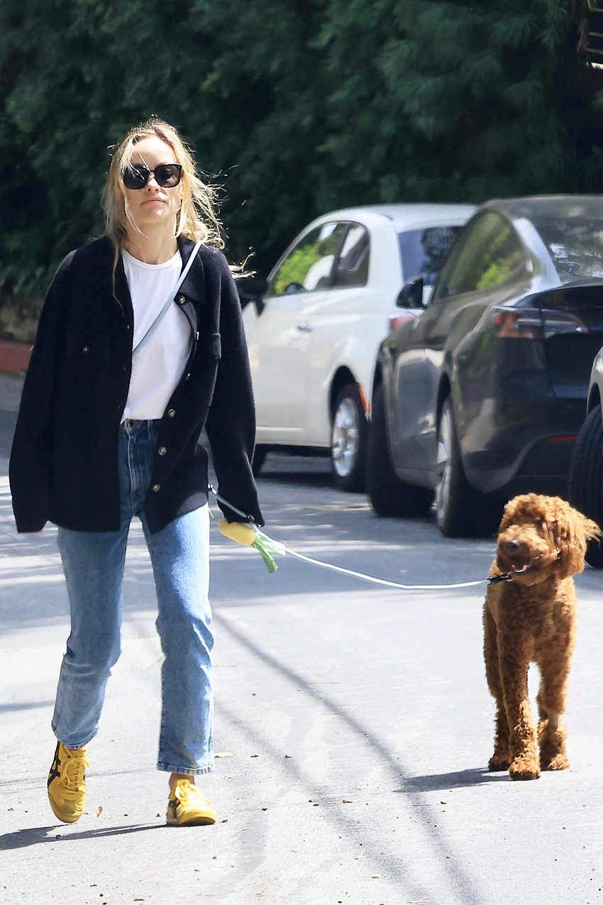 Olivia Wilde just wore the next It sneaker trend of spring and summer, and I can't wait to wear it, too.