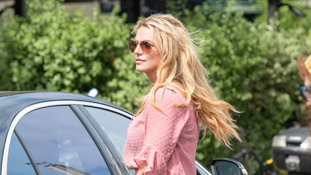 Britney Spears Enters Rehab Voluntarily After D.U.I. Arrest