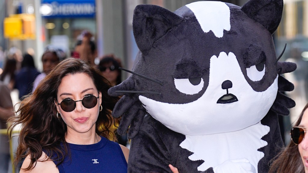 Aubrey Plaza On Pitching 'Kevin' Animated Show With Ex About Their Cat