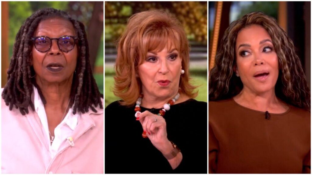 ‘The View’ Cohosts React to TMZ’s Decision to Go After Politicians